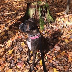 Meet your Posher, Julie